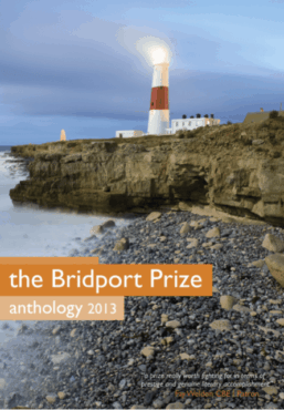 The Bridport Prize Anthology 2013 - ebook