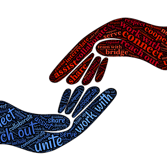 The lowdown on our partners