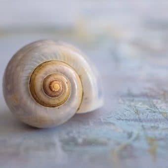 Find the reality that liberates you. Tim Pears, short story writer