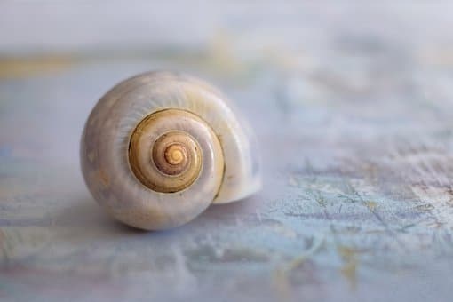 Find the reality that liberates you. Tim Pears, short story writer
